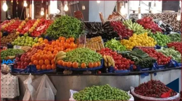 تحديث الأسعار.. تغيرات جديدة في أسعار الخضروات والفواكه اليوم بمحافظة القاهرة